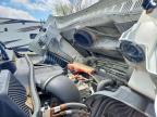 2019 Freigliner 2019 Freightliner Cascadia 125 Semi Truck