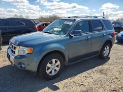 2010 Ford Escape Limited for sale in Hillsborough, NJ