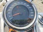 2021 Harley-Davidson Flsb