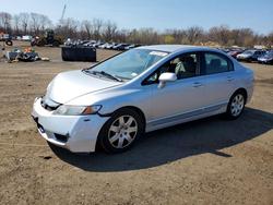 Honda salvage cars for sale: 2010 Honda Civic lx
