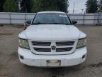 2008 Dodge Dakota SXT