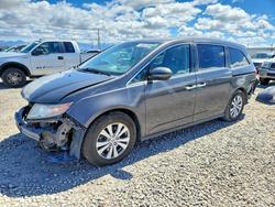Honda Vehiculos salvage en venta: 2015 Honda Odyssey exl