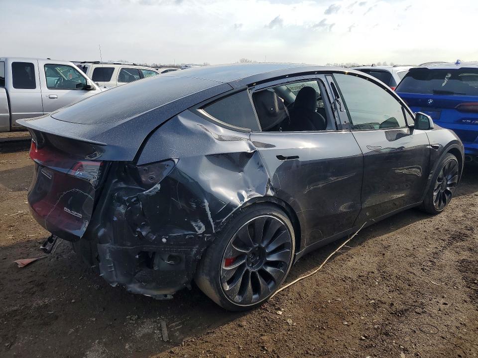 2024 Tesla Model y