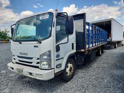 Isuzu salvage cars for sale: 2017 Isuzu NRR