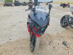 2025 Kawasaki EX500 A