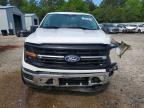 2024 Ford F150 XLT