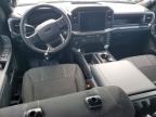 2025 Ford F150 STX
