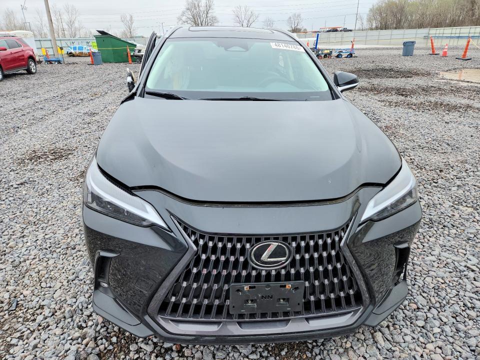 2024 Lexus Nx 350h Base