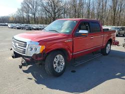 Salvage cars for sale from Copart Glassboro, NJ: 2010 Ford F150 Supercrew