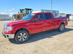 Salvage trucks for sale at Bismarck, ND auction: 2010 Ford F150 Supercrew
