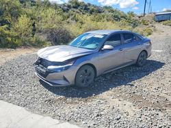 2023 Hyundai Elantra Blue for sale in Reno, NV