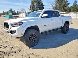 Salvage trucks for sale at Spanaway, WA auction: 2022 Toyota Tacoma TRD Sport