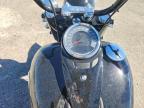 2025 Harley-Davidson Flhc