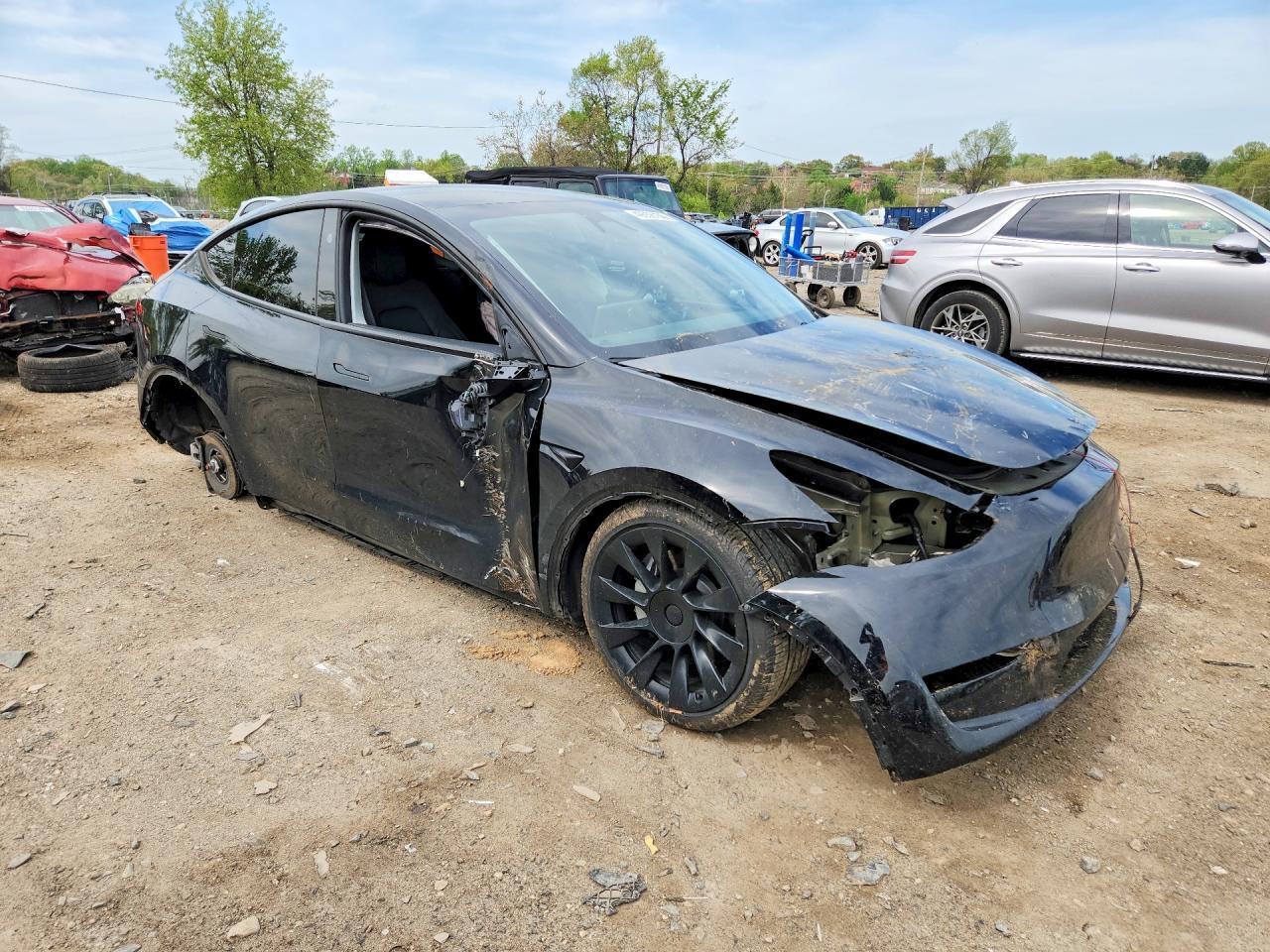 2024 Tesla Model y