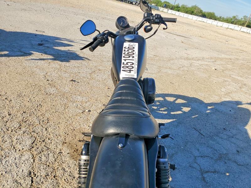 2020 Harley-Davidson XL883 N