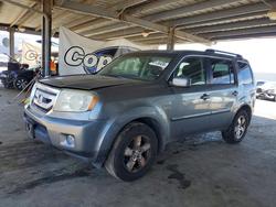 Honda Pilot ex Vehiculos salvage en venta: 2009 Honda Pilot ex