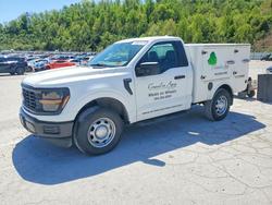 Ford Vehiculos salvage en venta: 2025 Ford F150 xl