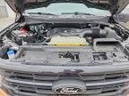 2025 Ford F150 XLT