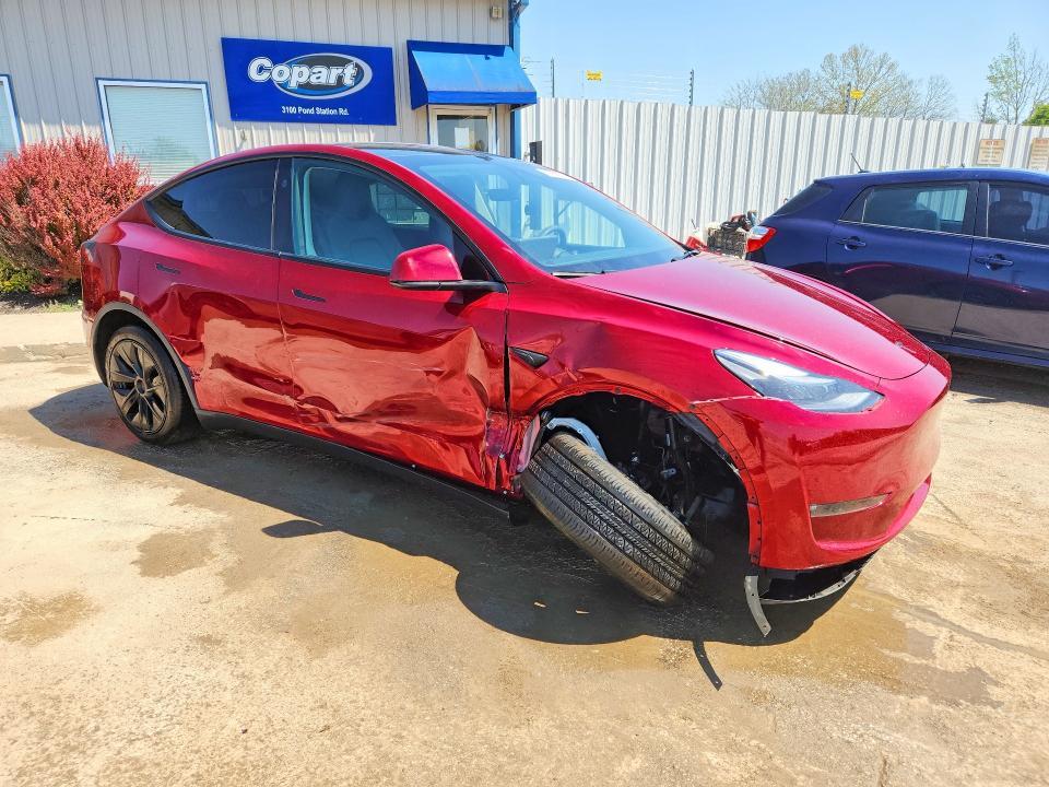 2024 Tesla Model y