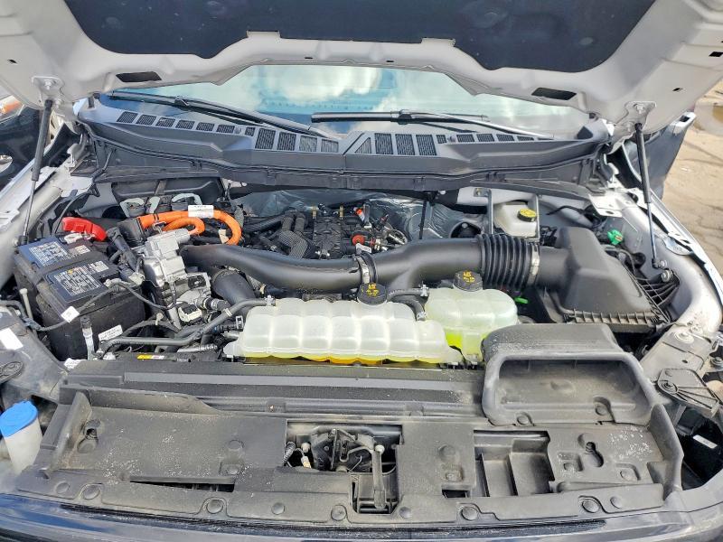 2025 Ford F150 XLT