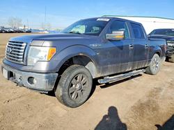 Salvage cars for sale from Copart Rocky View County, AB: 2010 Ford F150 Supercrew