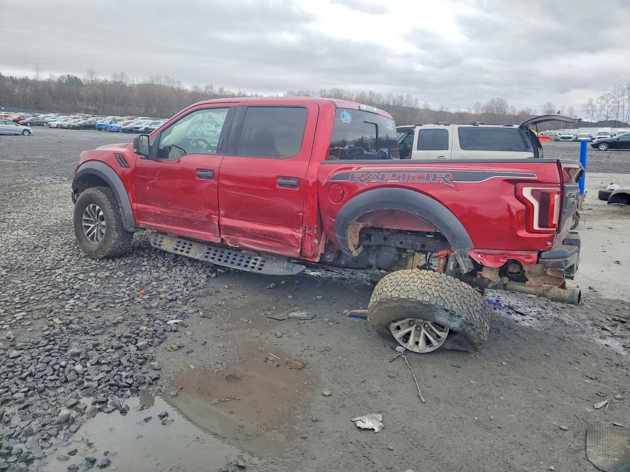 2019 Ford F150 Raptor
