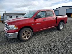 Salvage trucks for sale at Airway Heights, WA auction: 2012 Dodge RAM 1500 SLT