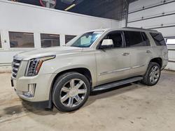 Cadillac Escalade Vehiculos salvage en venta: 2015 Cadillac Escalade Luxury