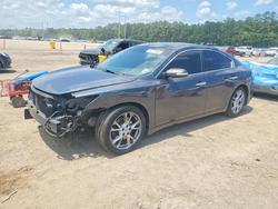 2013 Nissan Maxima 3.5 s for sale in Greenwell Springs, LA