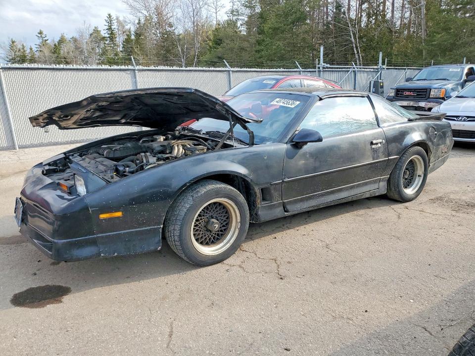 1988 Pontiac Firebird Trans am