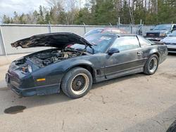 1988 Pontiac Firebird Trans am for sale in Cookstown, ON
