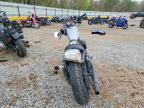 2020 Harley-Davidson XL883 N