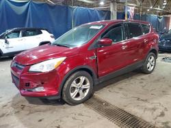 Ford salvage cars for sale: 2013 Ford Escape se