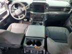 2025 Ford F150 STX