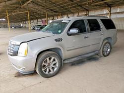 Cadillac Escalade salvage cars for sale: 2007 Cadillac Escalade Luxury