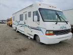 2000 Damon 1999 Workhorse RV