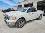 2009 Dodge RAM 1500
