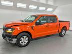 2024 Ford F150 XL