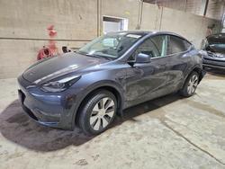 Tesla salvage cars for sale: 2024 Tesla Model y