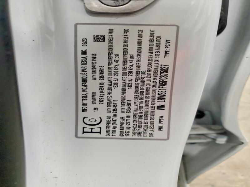 2023 Tesla Model 3
