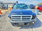 2004 Dodge Dakota Quad Sport