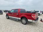 2013 Ford F150XLT