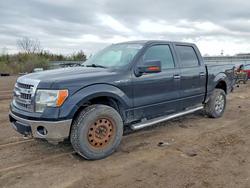 2013 Ford F150 Supercrew en venta en Columbia Station, OH