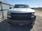 2019 Chevrolet Silverado K1500 Trail Boss Custom