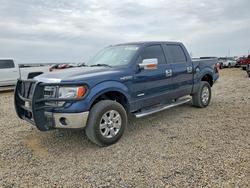 Salvage trucks for sale at Amarillo, TX auction: 2013 Ford F150 Supercrew