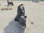 2025 Honda CBR1000 RR
