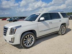 2019 Cadillac Escalade Premium Luxury en venta en Houston, TX