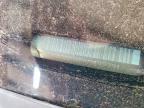 2005 Nissan Frontier SE