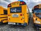 2017 Icrp 2017 IC Corporation RE Series School-School Bus