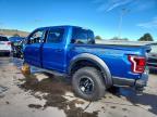 2017 Ford F150 Raptor